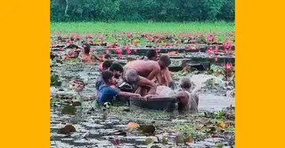 গাজীপুরে শাপলা তুলতে গিয়ে নৌকা ডুবে দুই বন্ধুর মৃত্যু